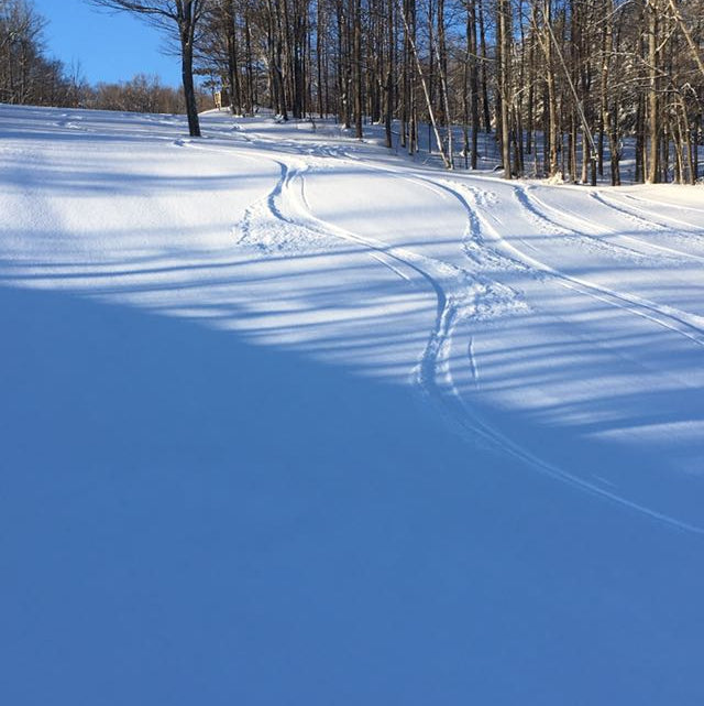 Join as a brand new 2026 New BCCST Member